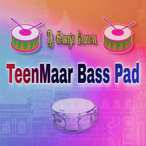 TEENMAAR BASS PAD