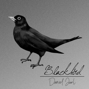 Blackbird