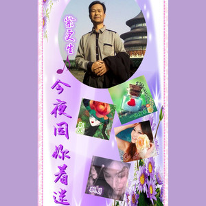 今夜因你着迷【猫/影/风/月】