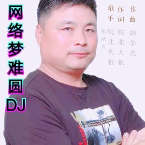 网络梦难圆DJ