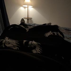 TERRIFIER 4 (Explicit)