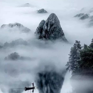 山的情 水的爱