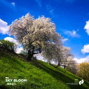Sky Bloom