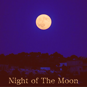 Night of The Moon