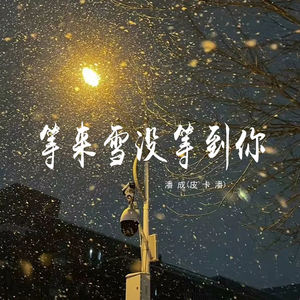 潘成《等来雪没等到你》[MP3_LRC]_MP3免费下载