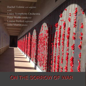 On the Sorrow of War
