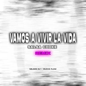 Vamos A Vivir La Vida (feat. Mucho Flow) [Remix]