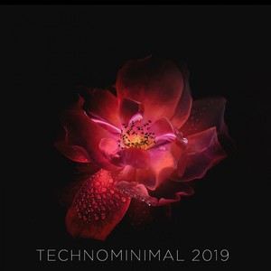 Technominimal 2019