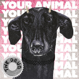 Your Animal