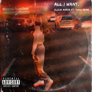 All I Want (feat. Yung Meme) [Explicit]