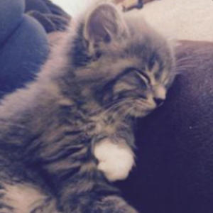 oi amor eu te amo ok ((peônias na praia remixxxxx)) (feat. knsevenkay) (Explicit)