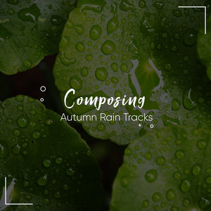 Delicate Rain Patter