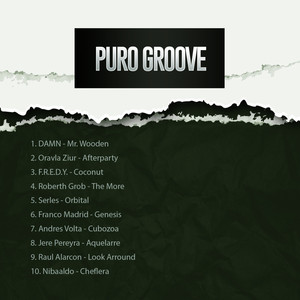 PURO GROOVE SELECTION 024