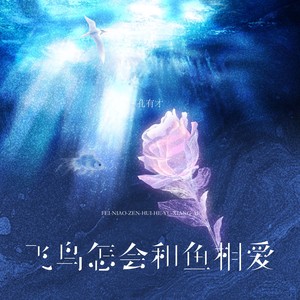 飞鸟怎会和鱼相爱