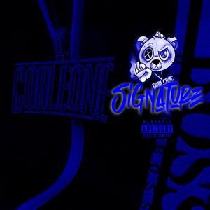 Signature (Explicit)