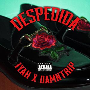 Despedida (feat. Damntrip) [Explicit]