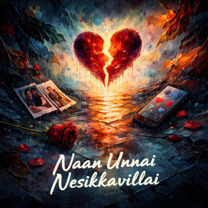 Naan Unnai Nesikkavillai