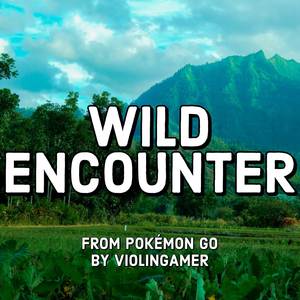 Wild Encounter