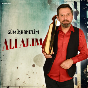 Gümüşhanelim