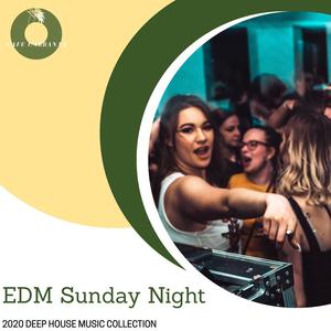 EDM Sunday Night - 2020 Deep House Music Collection