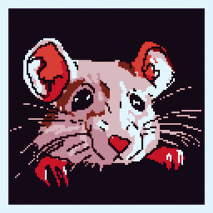 Pet Rat
