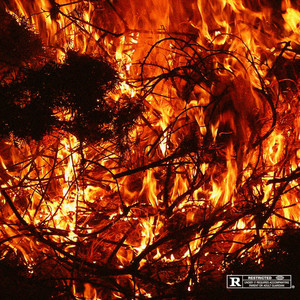 Phéromone (Explicit)