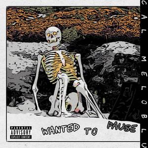 Wanted To Pause (Explicit)