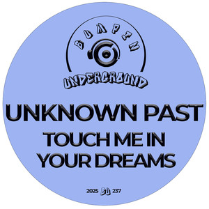 Touch Me In Your Dreams