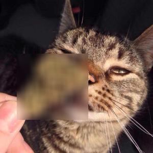 Cali **** (Explicit)