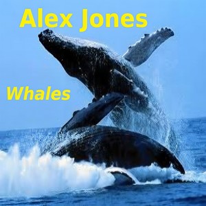 Whales