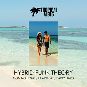 Hybrid Funk Theory - Heartbeat (Original Mix)