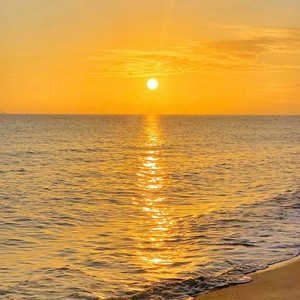 梦想只为赚大钱