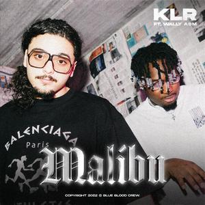 Malibu (feat. Wally A$M) (Explicit)
