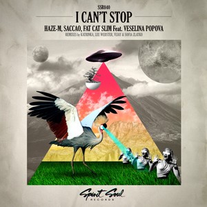 I Can't Stop (Original Mix)