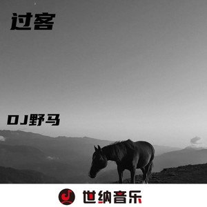 坏女孩-DJ野马&赵俊飞&安伦