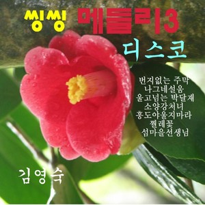 김영숙 씽씽메들리 3(디스코)