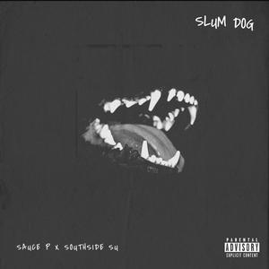 Slum Dog(feat. SouthsideSu) (Explicit)