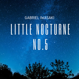 Little Nocturne No. 5