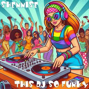 This DJ So Funky