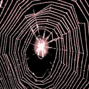 No Hook (One Take) (Explicit)