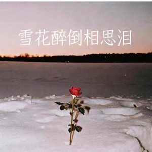 雪花醉倒相思泪-卡带森林