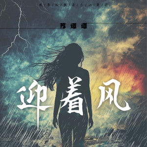 迎着风封面