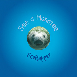 See a Manatee