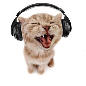 音乐温度（2025听歌报告预热曲）-7and5