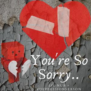 You're So Sorry.. (Explicit)