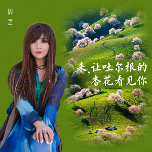 来，让吐尔根的杏花看见你