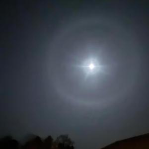 NvrMxre - Hotel Pools (feat. Dxwn Right) (Explicit)