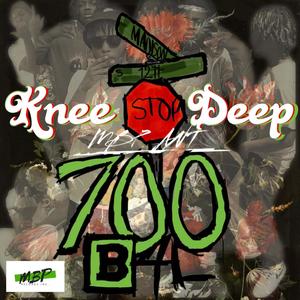 Knee Deep Interlude (Explicit)