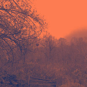 Cabin Song (mason's version)