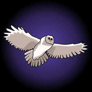 Owl (I Really Need Your Touch)